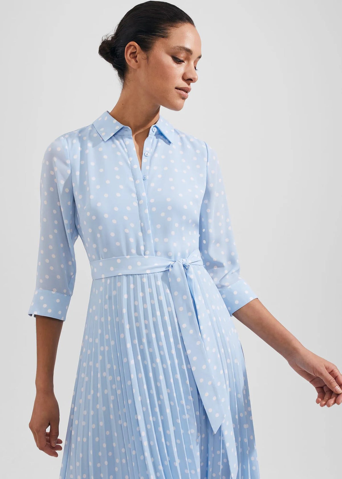 Dusky Blue Ivry