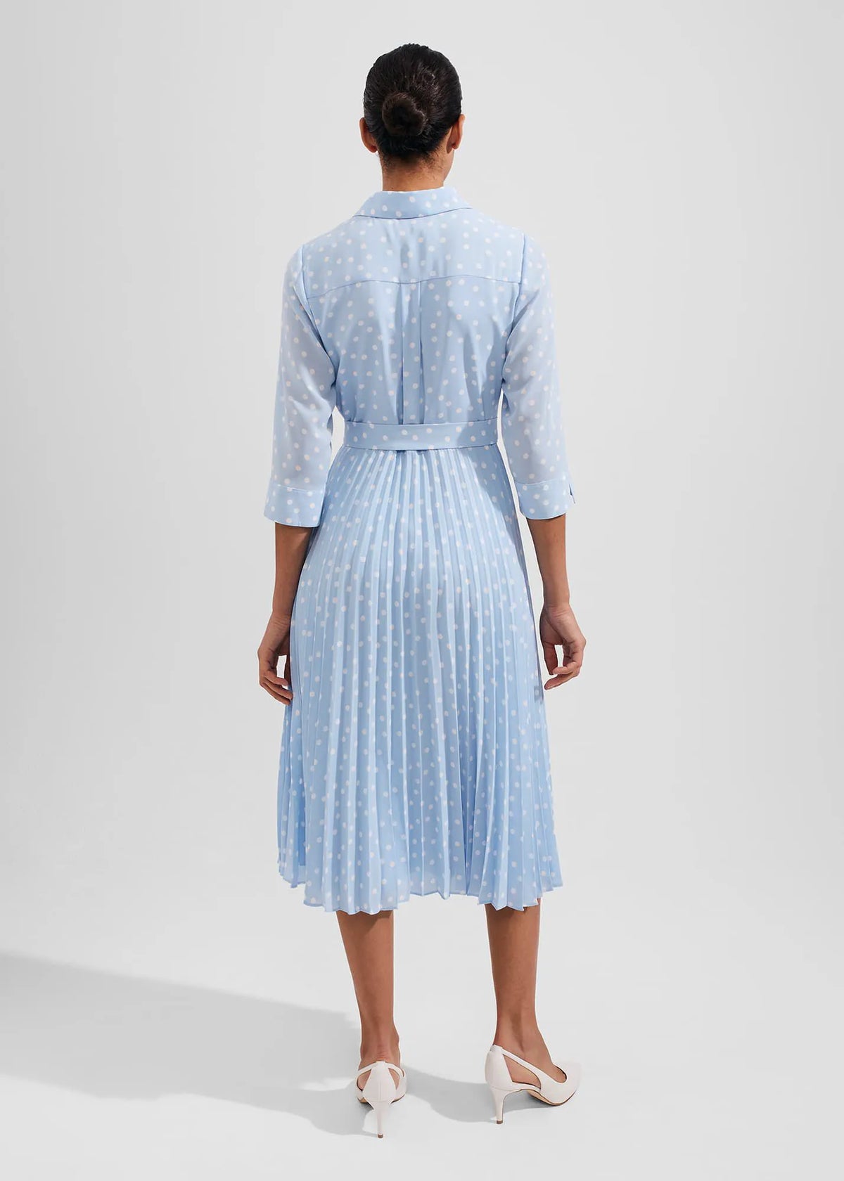Dusky Blue Ivry