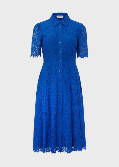 Cobalt Blue