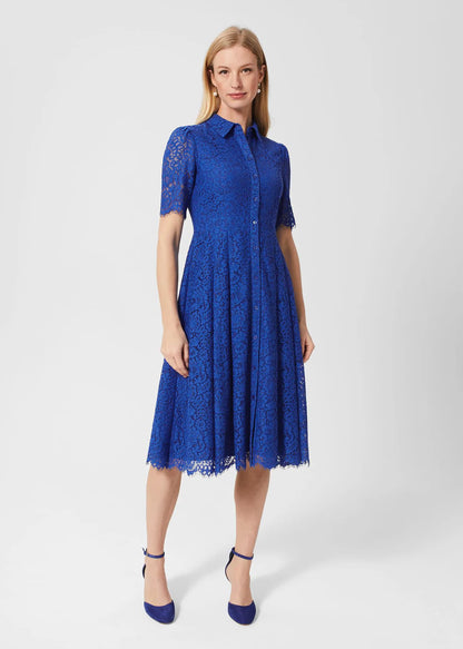 Cobalt Blue