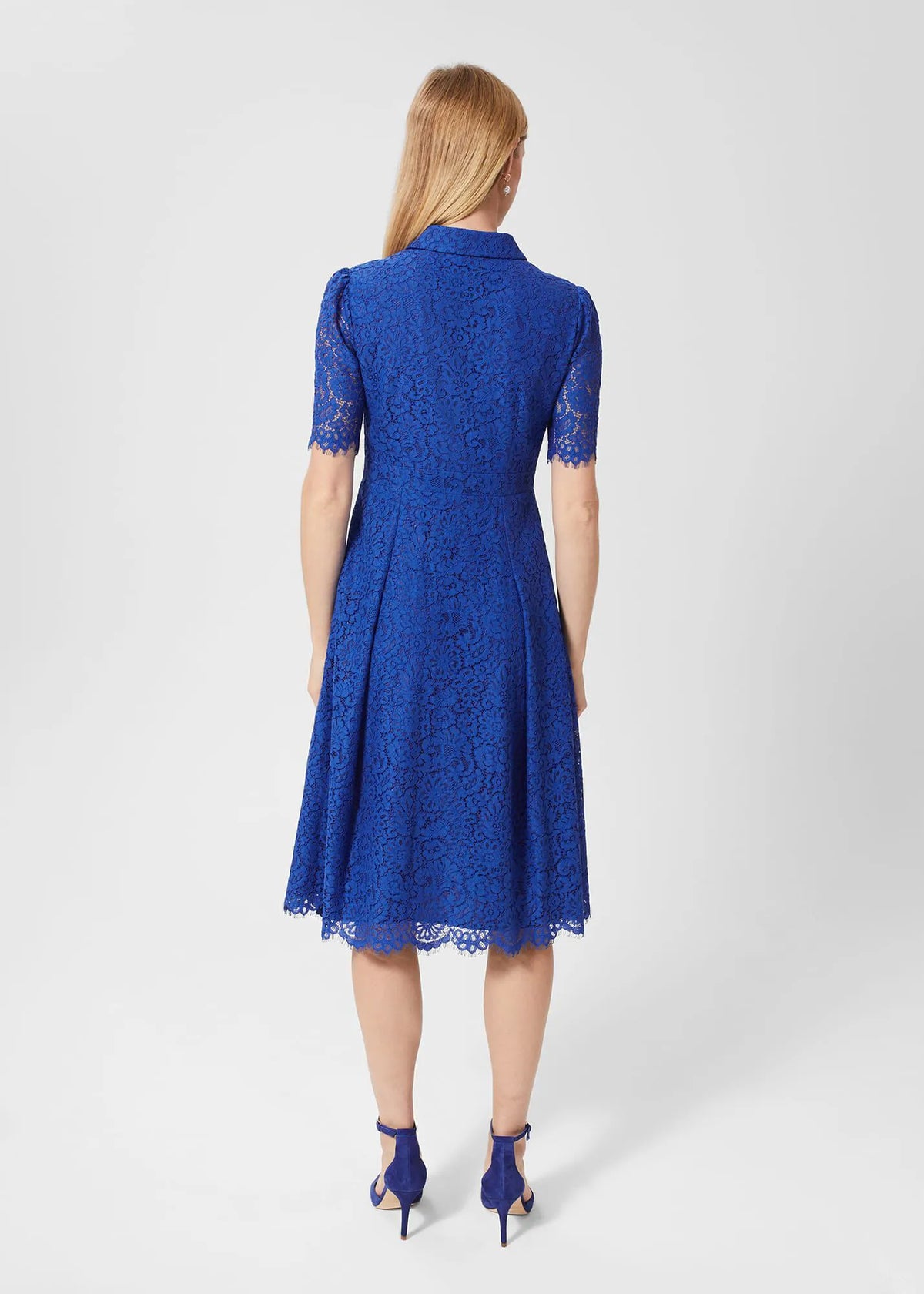 Cobalt Blue