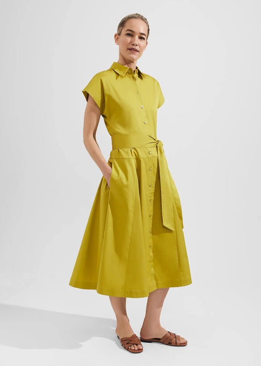 Light Olive
