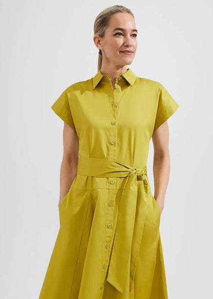 Light Olive