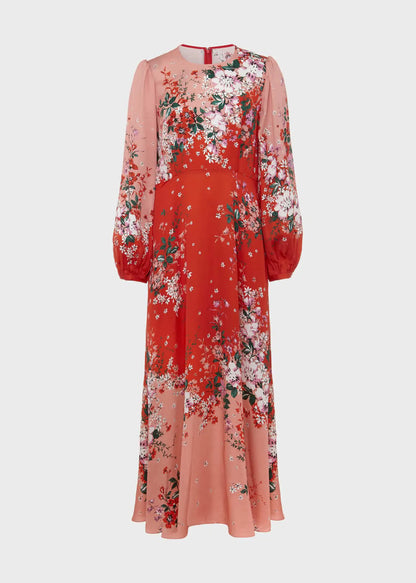 Red Rose Multi