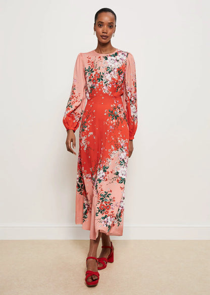 Red Rose Multi
