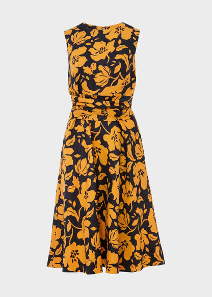 Navy Orange
