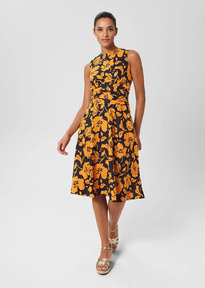 Navy Orange