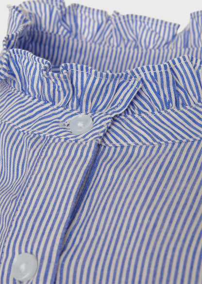 Blue Ivory