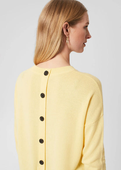 Lemon Zest
