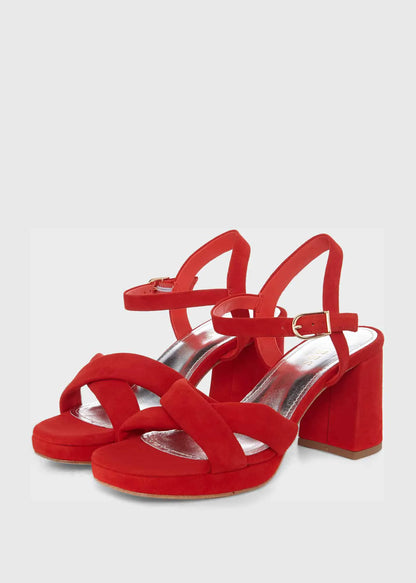 Rose Red