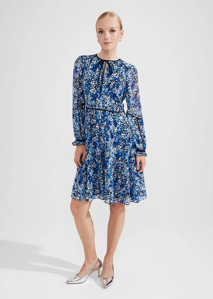 Blue Multi