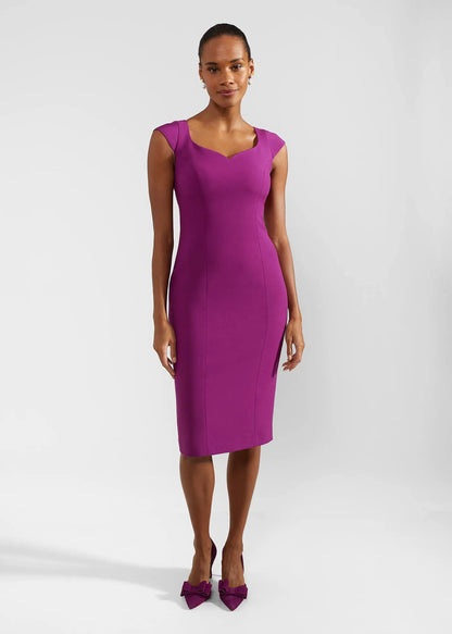 Magenta Purple