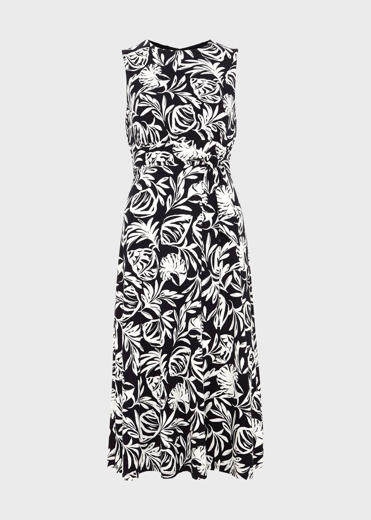 Navy Ivory