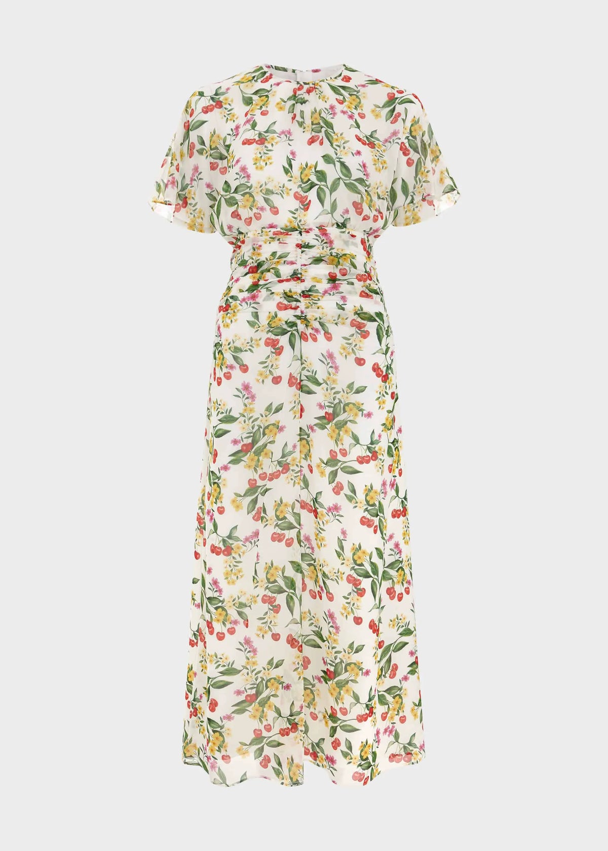 Ivory Multi