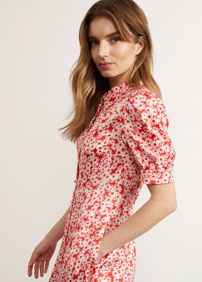 Red Ivory