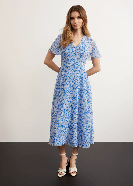 Blue Ivory