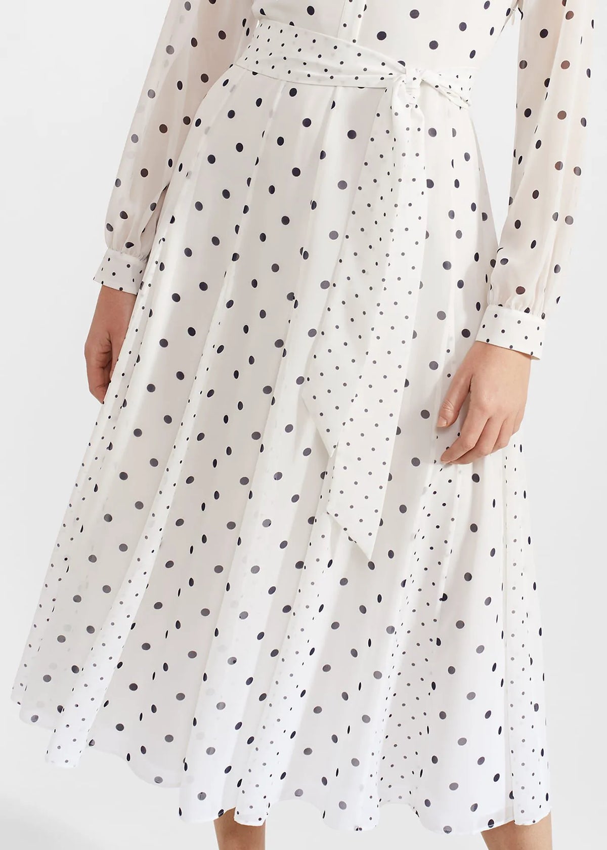 Ivory Navy