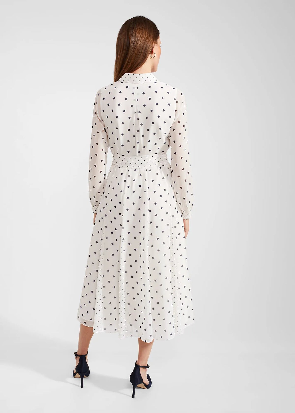 Ivory Navy
