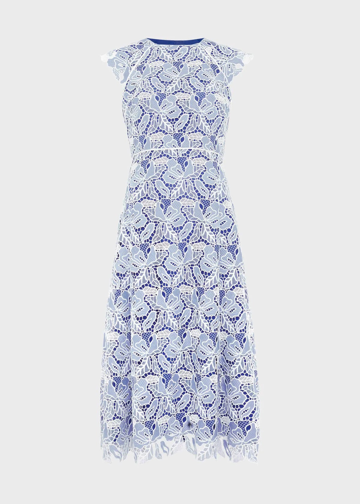 Blue Ivory