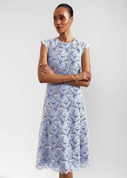 Blue Ivory