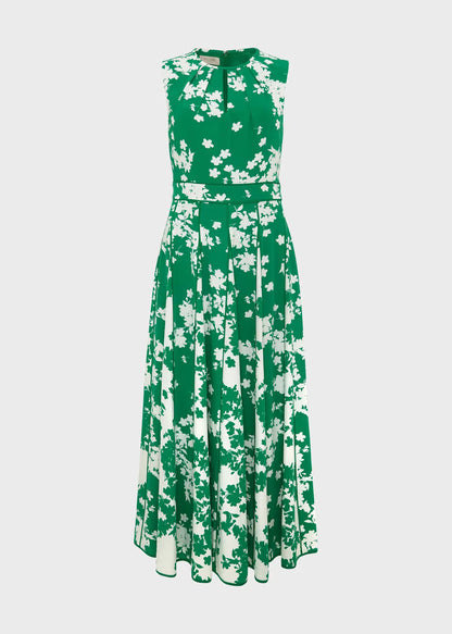 Green Ivory