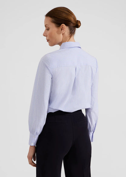 Blue Ivory