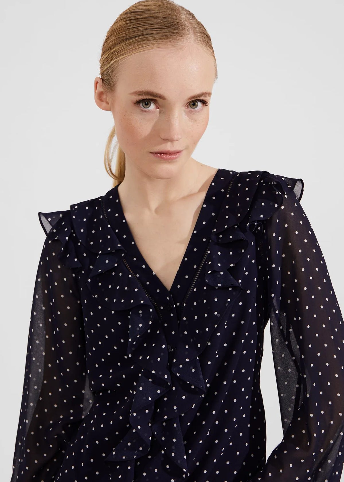 Navy Ivory