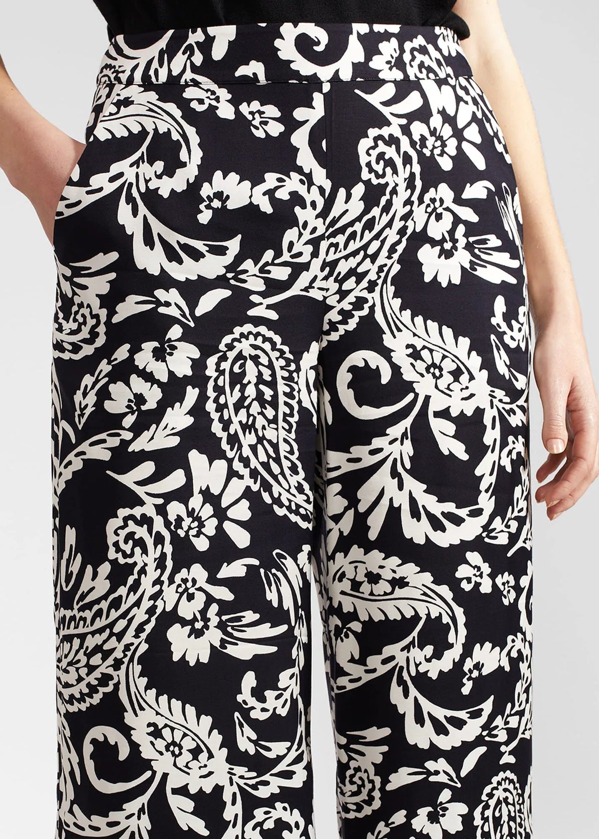 Navy Ivory