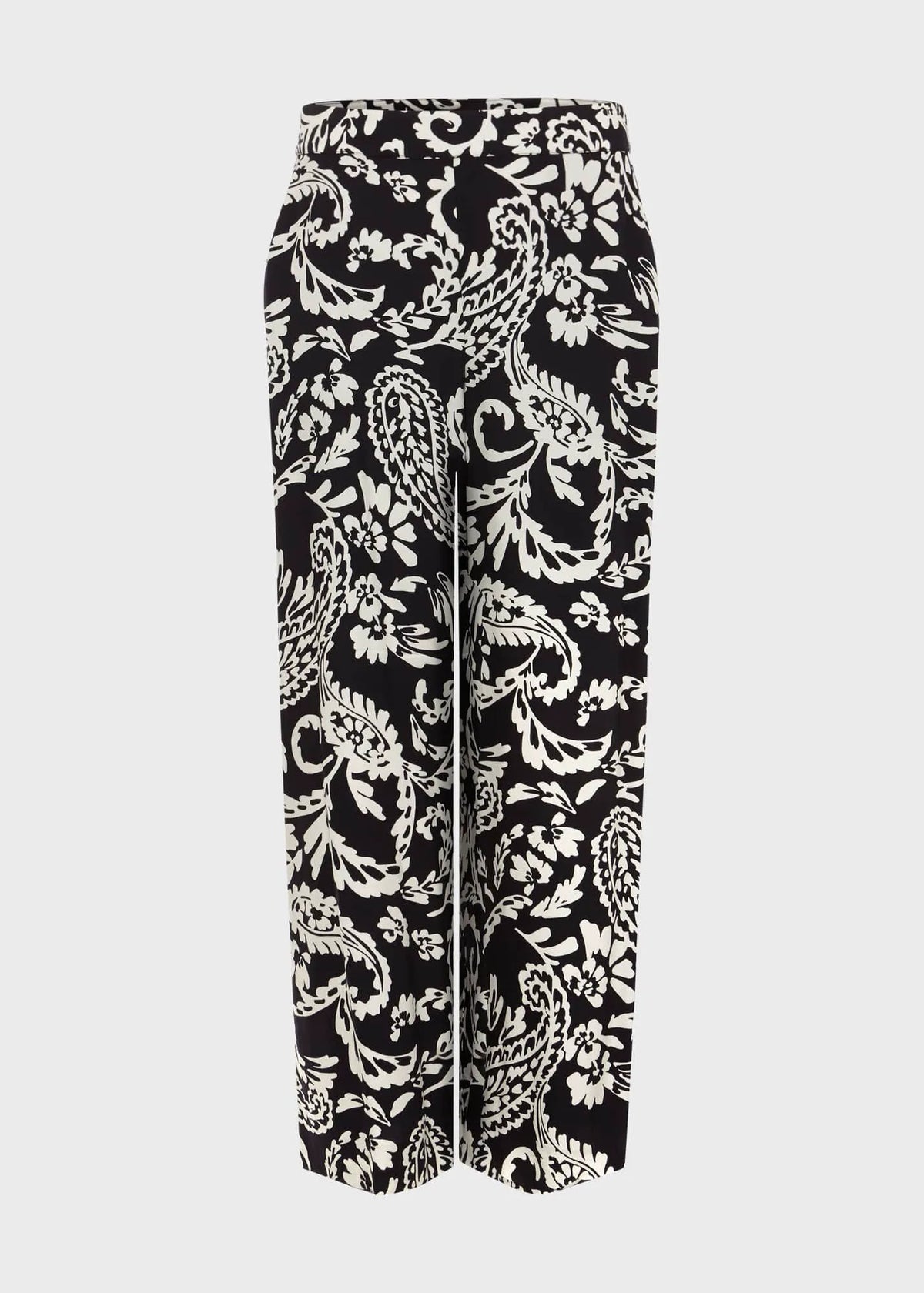 Navy Ivory