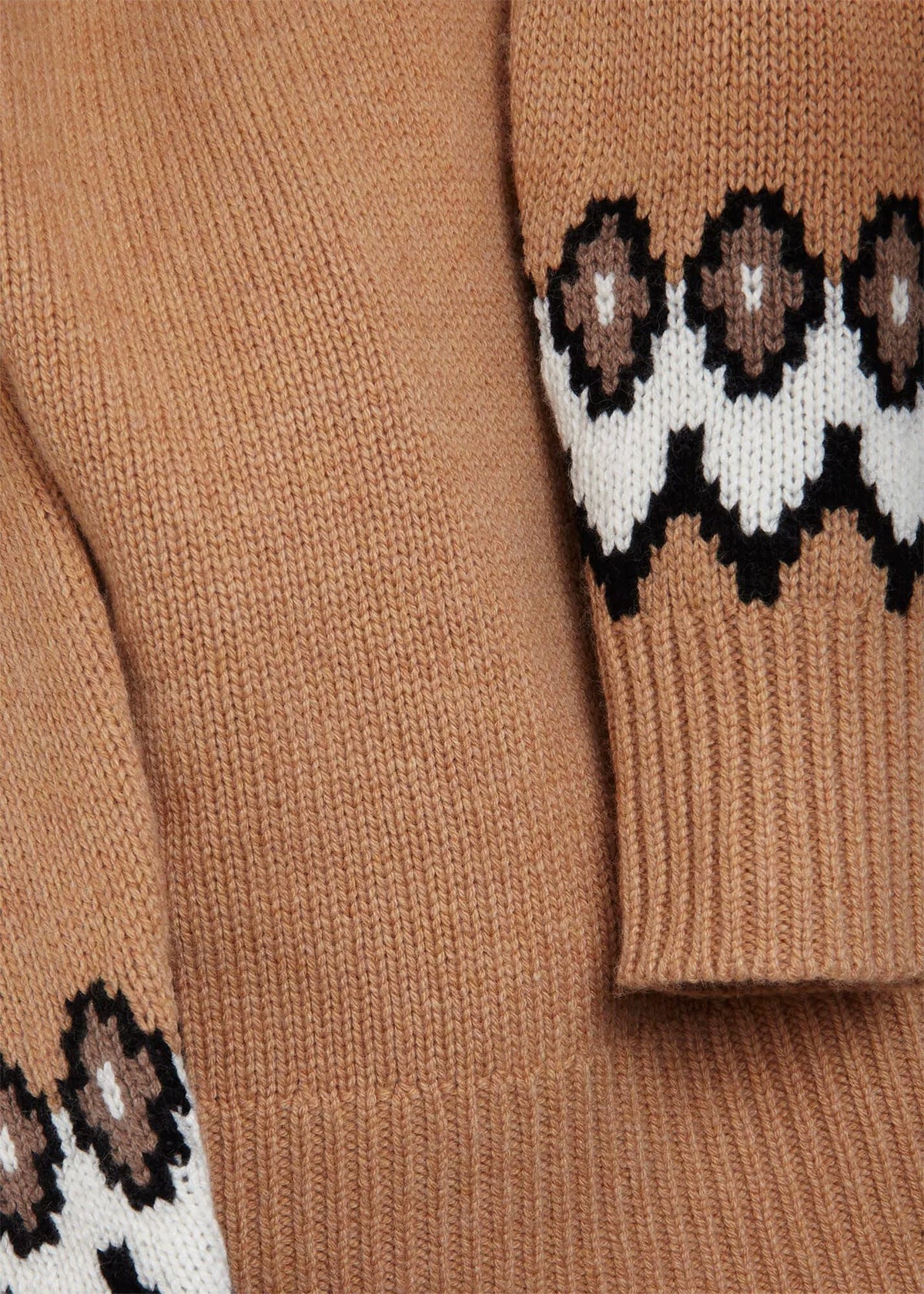 Camel Ivory
