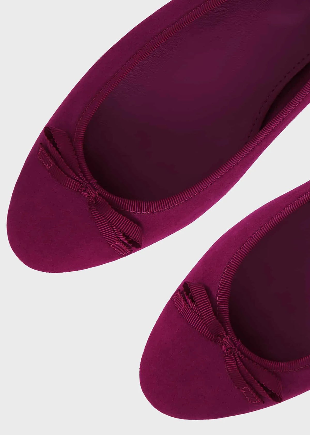 Bramble Purple