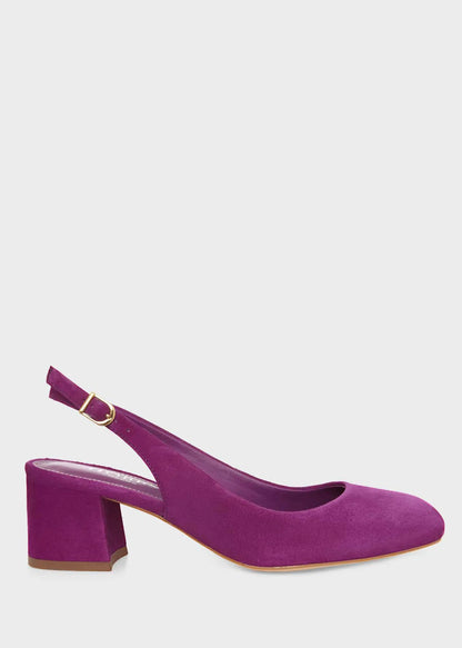 Magenta Purple