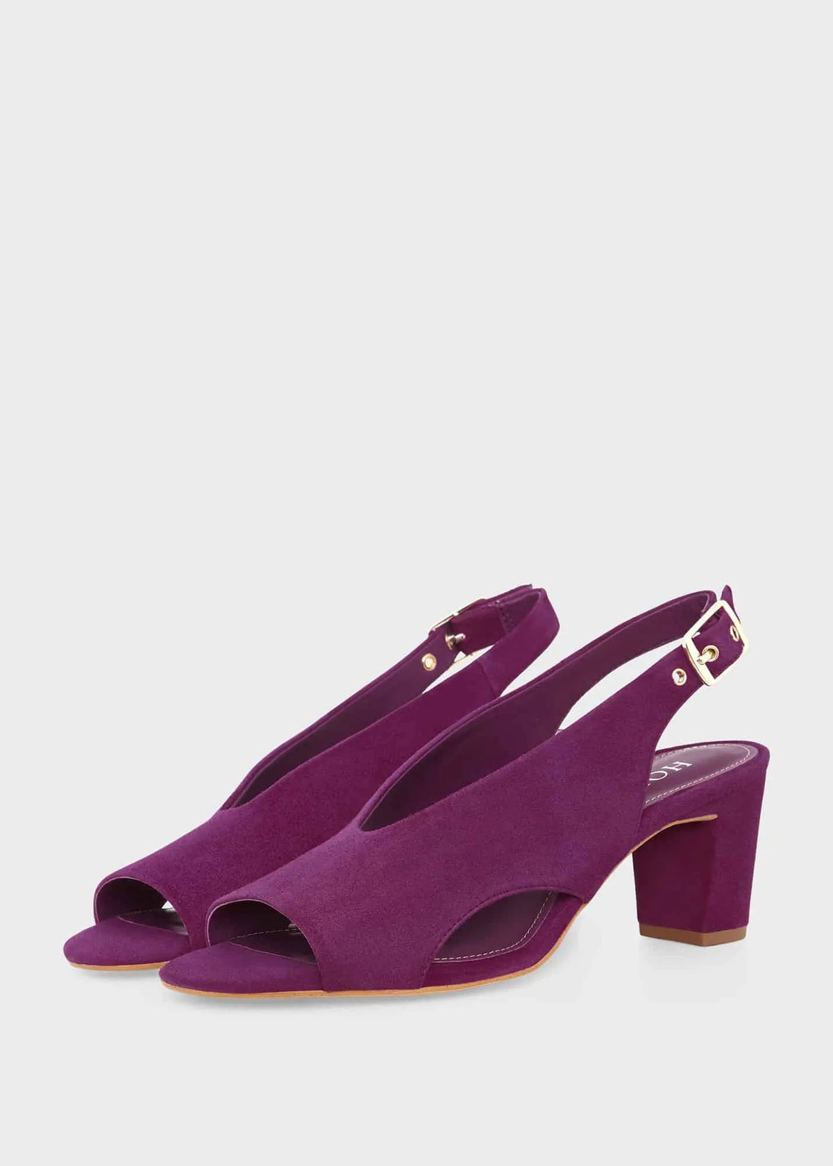 Magenta Purple