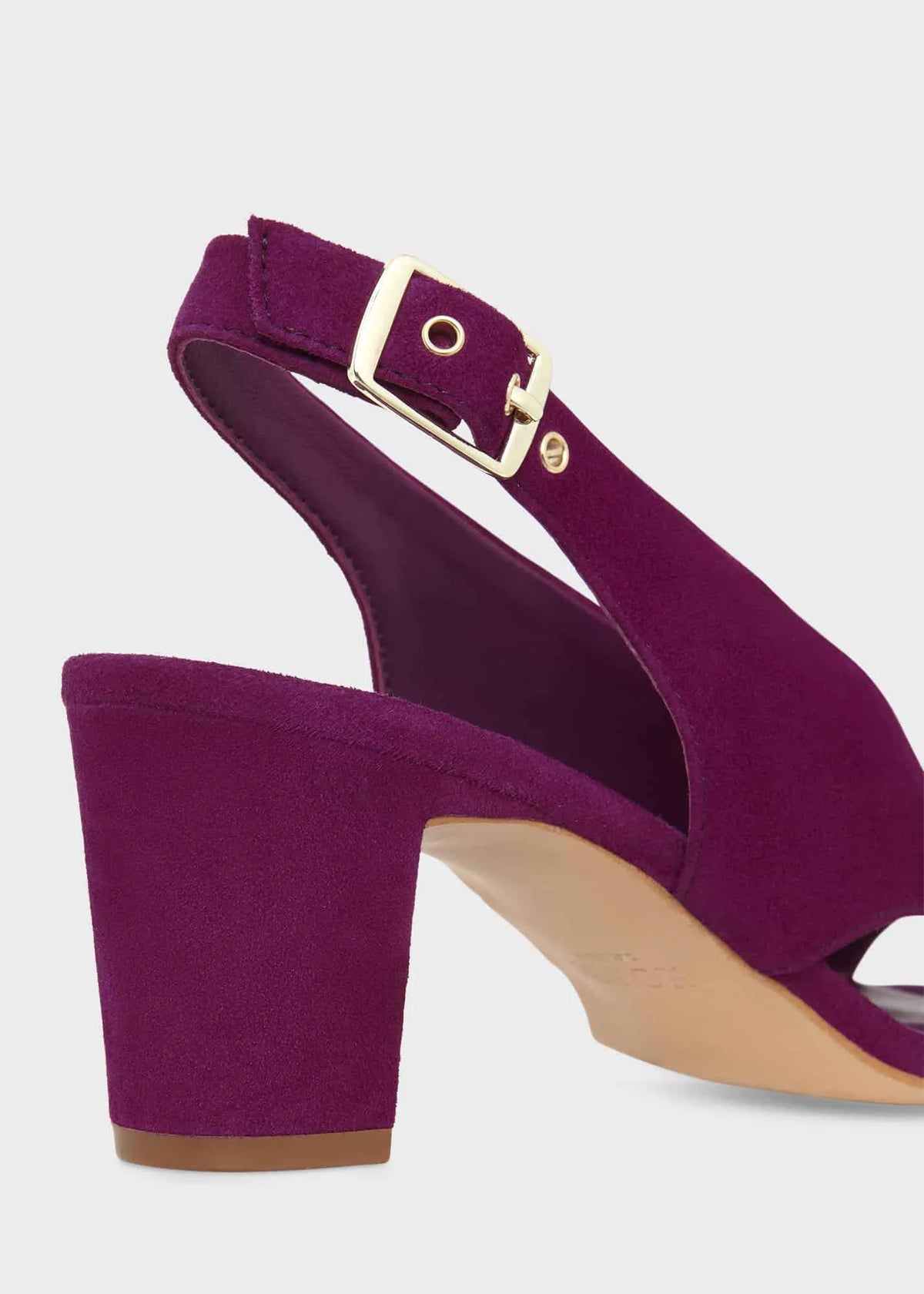 Magenta Purple