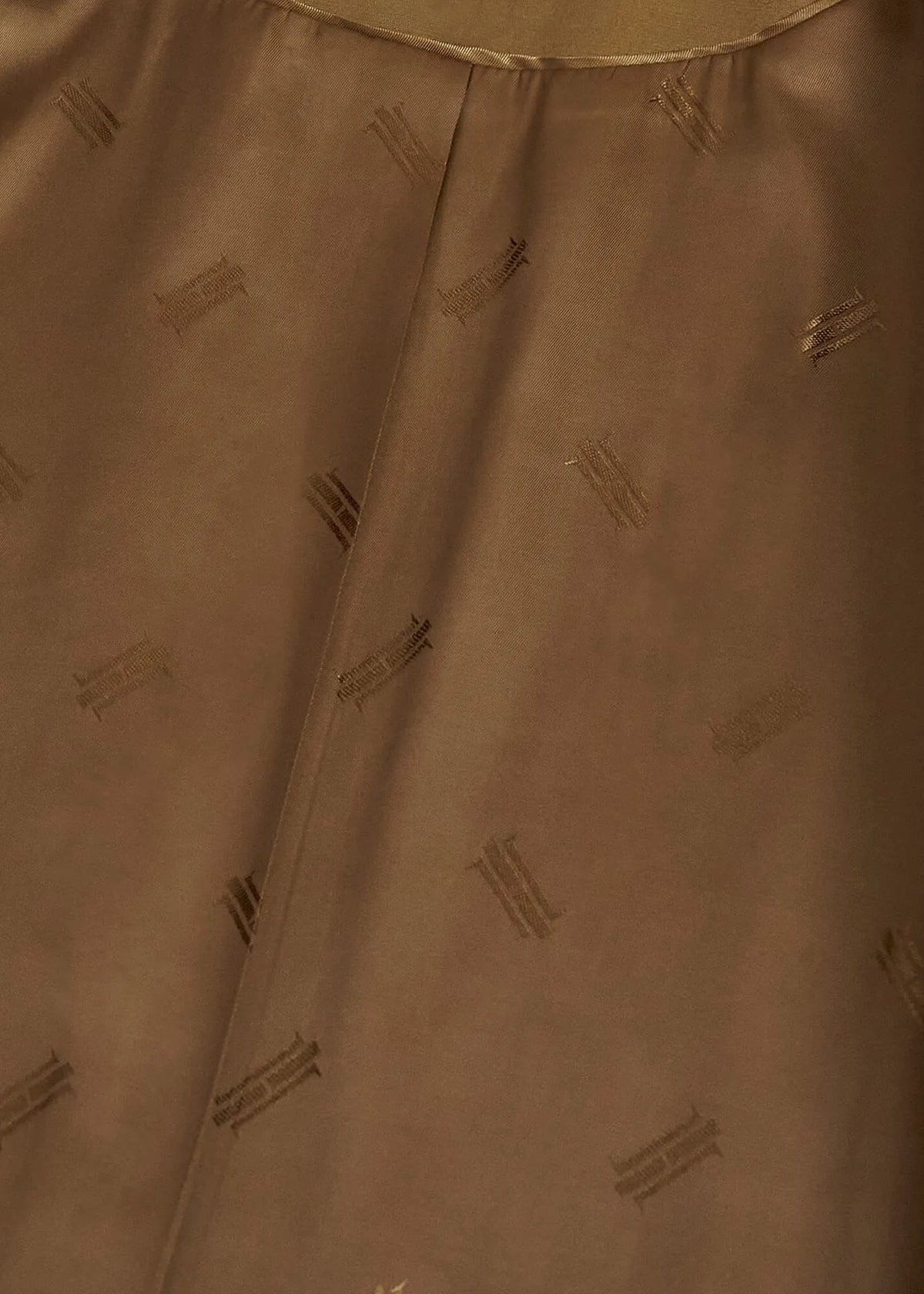 Vicuna