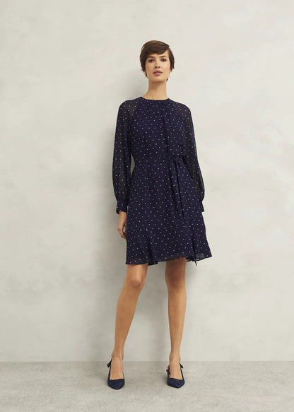 Navy Ivory
