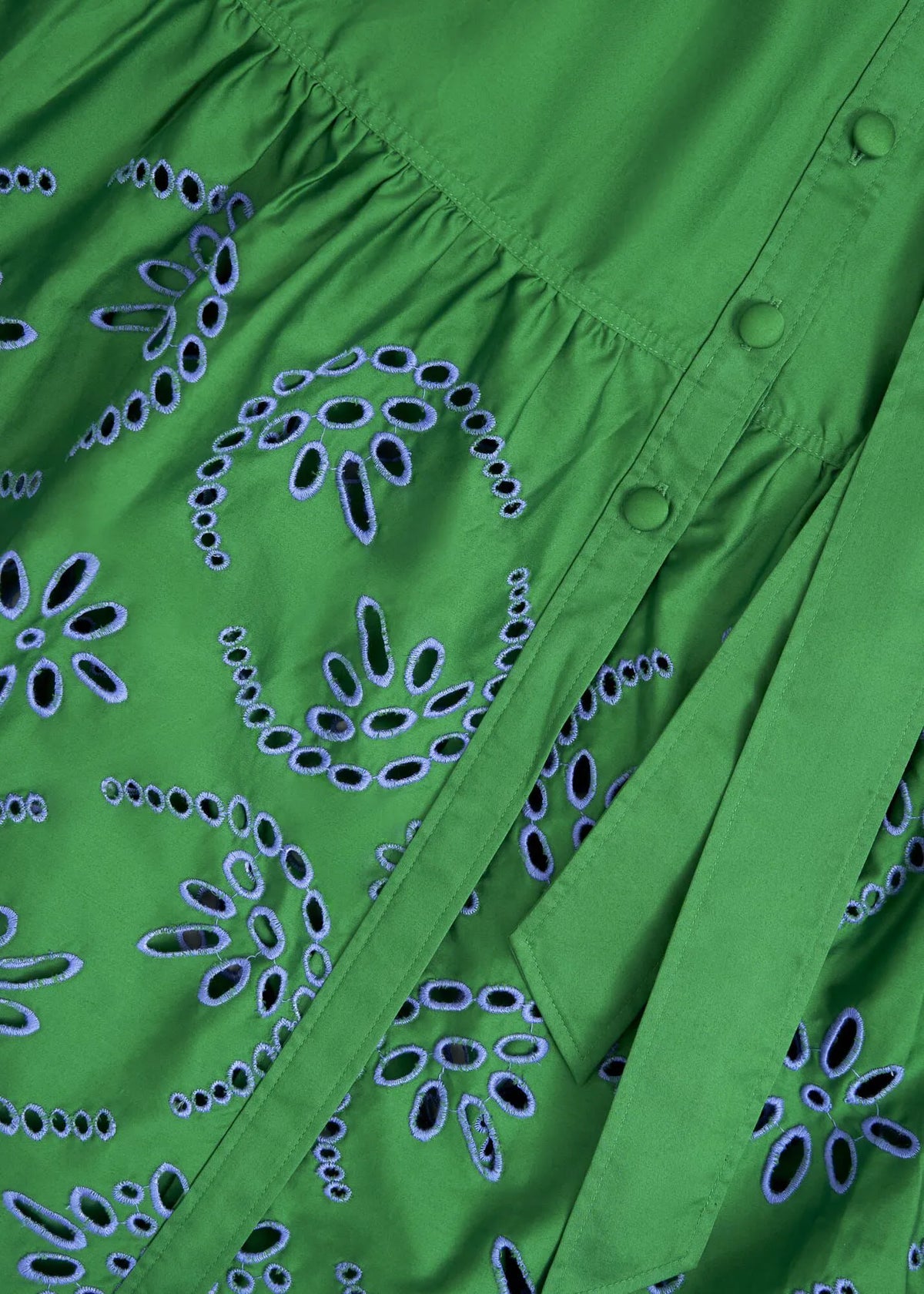 Cilantro Green
