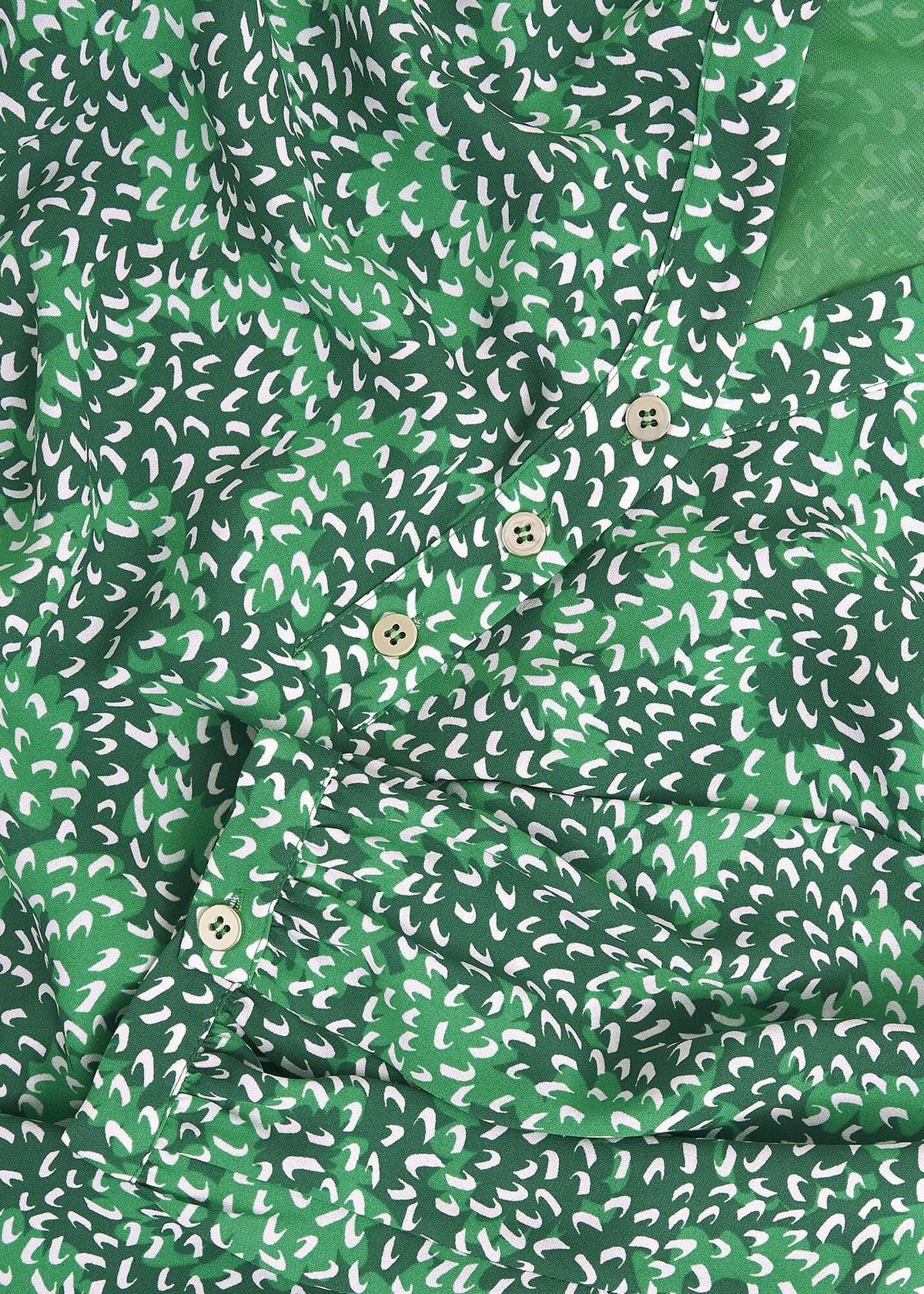 Cilantro Green