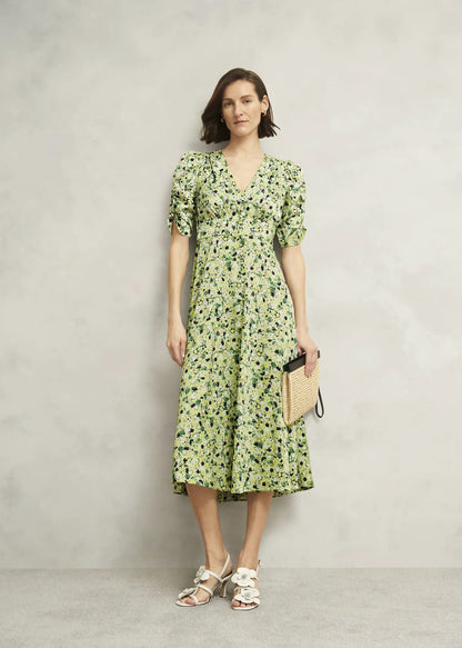 Green Multi