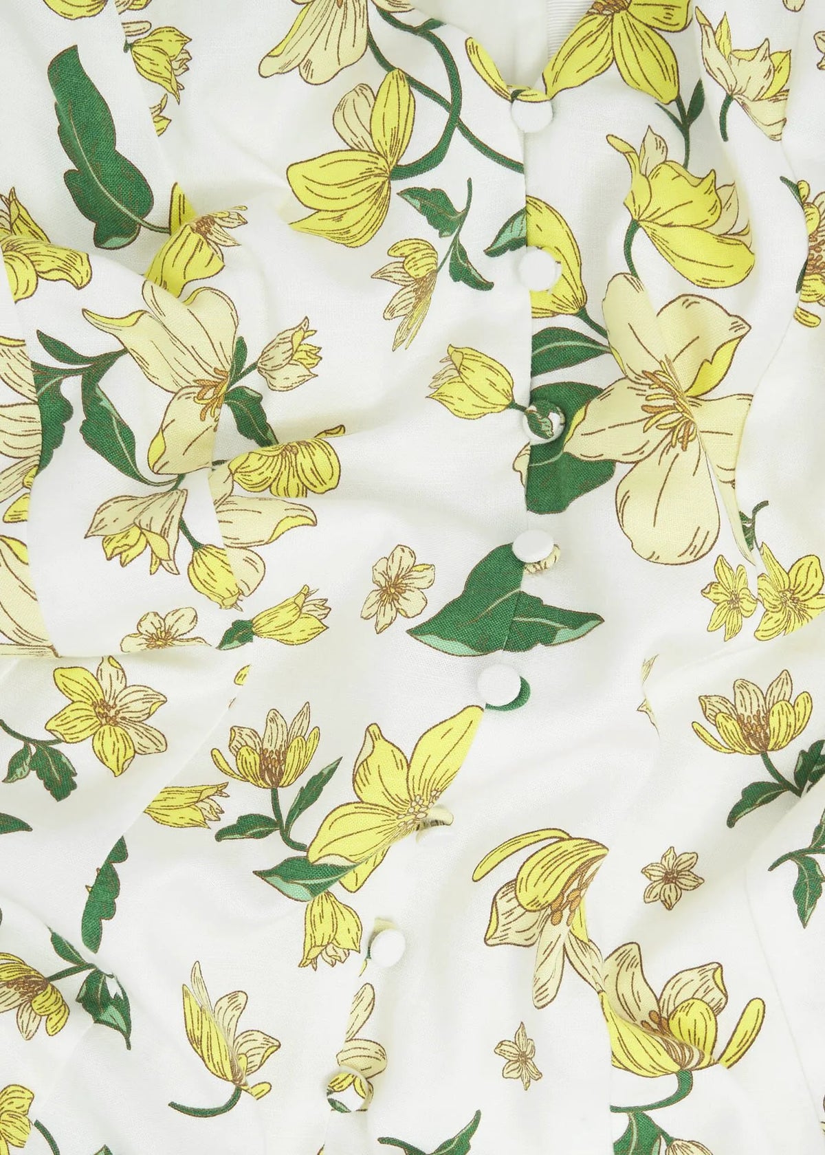 Ivory Multi