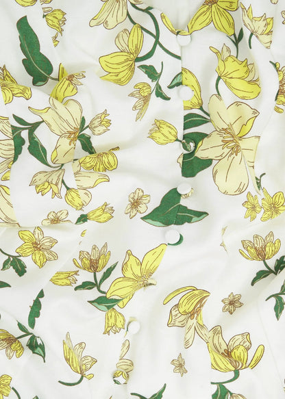 Ivory Multi