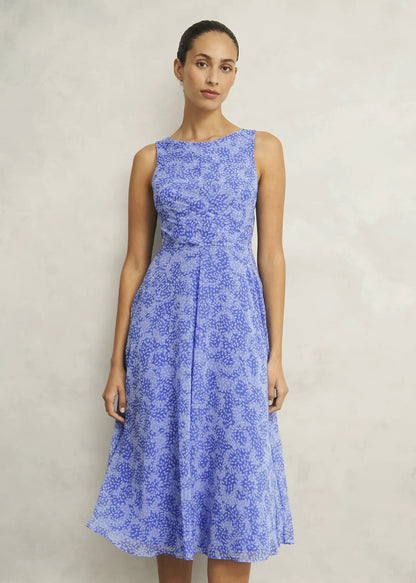 Blue Multi