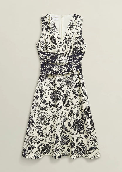 Ivory Navy