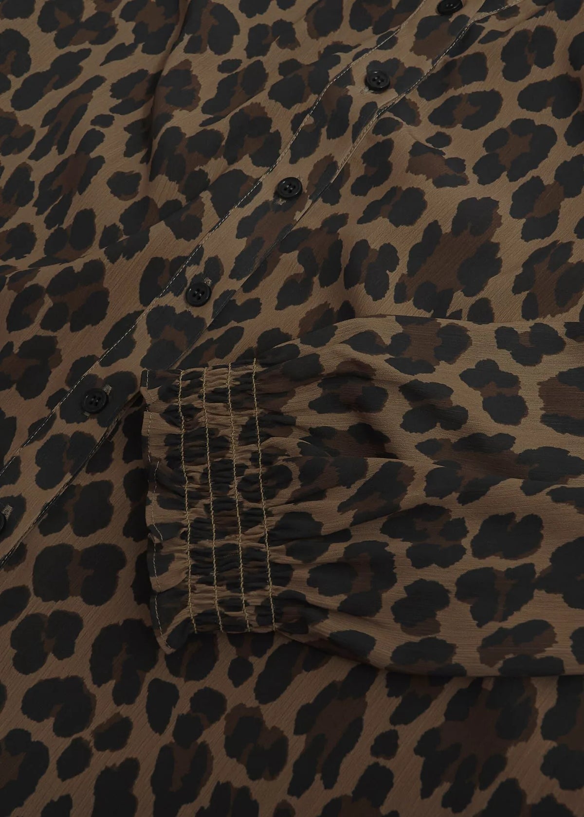 Camel Multi