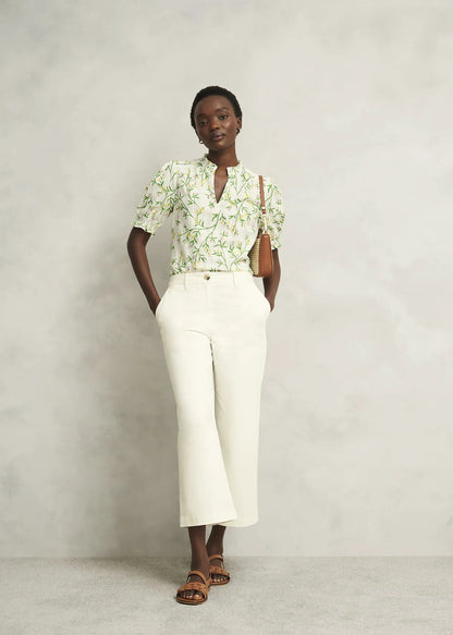 Ivory Multi