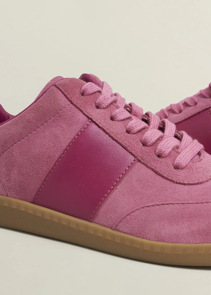 Pink Multi