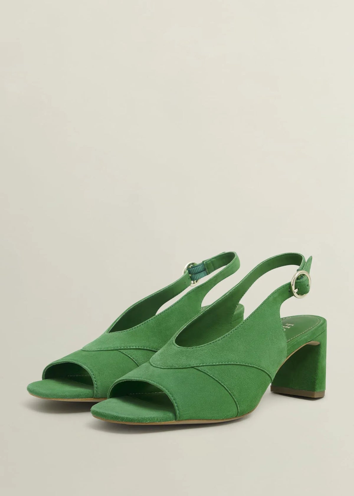 Cilantro Green