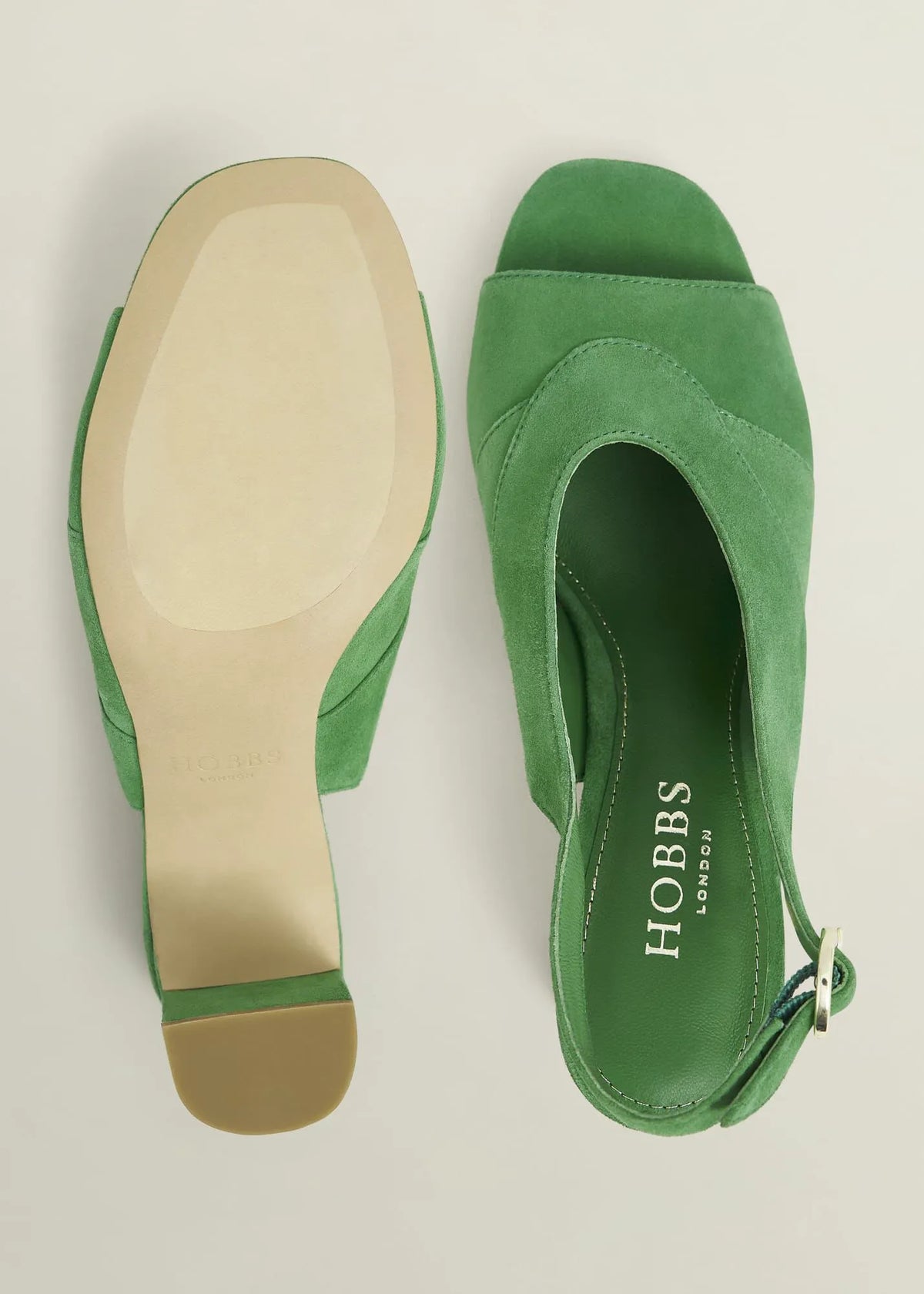 Cilantro Green