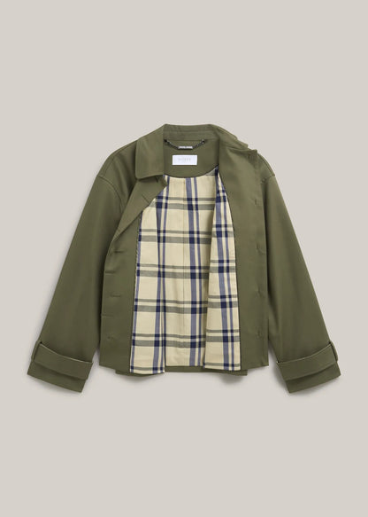 Olive Green