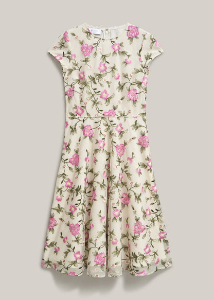 Cream Pink